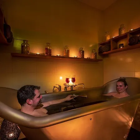 Guest house Hotel Bily Jednorozec 4*