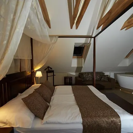 Hotel Bily Jednorozec Guest house Trebon