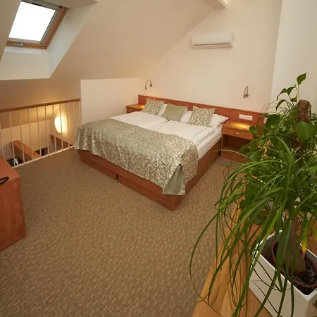 Hotel Bily Jednorozec Guest house Trebon