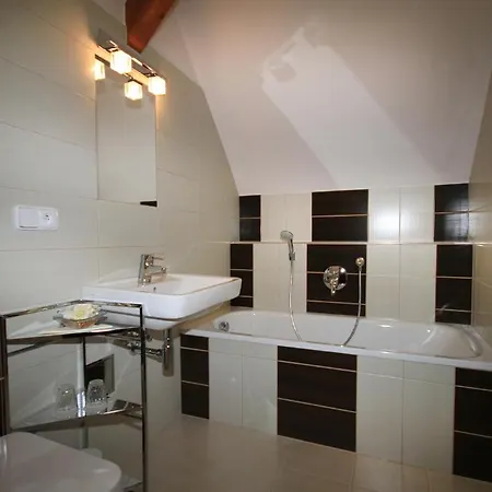 Guest house Hotel Bily Jednorozec 4*