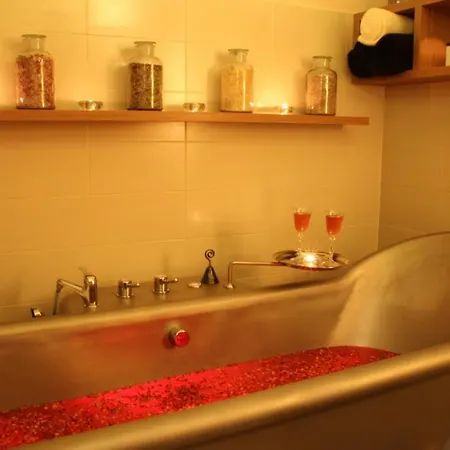 Guest house Hotel Bily Jednorozec Trebon