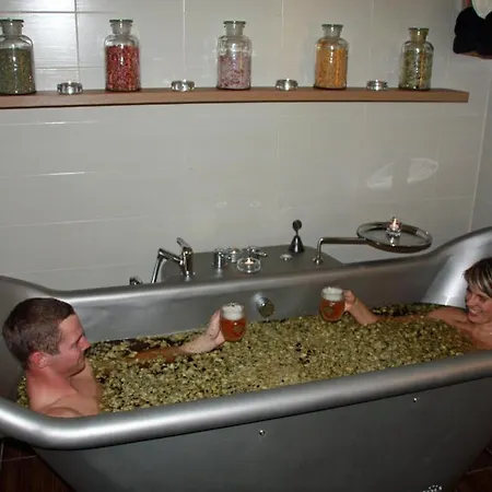 Hotel Bily Jednorozec Trebon