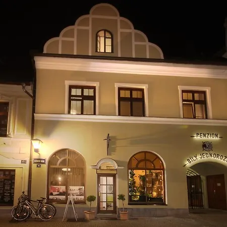 Hotel Bily Jednorozec Guest house Trebon