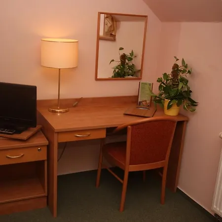 Hotel Bily Jednorozec Guest house 4*