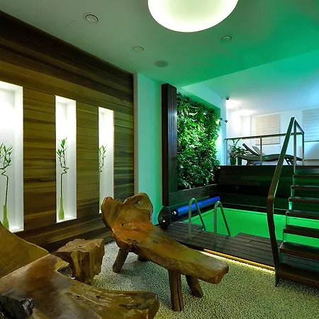 Hotel Bily Jednorozec 4* Trebon