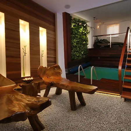 Guest house Hotel Bily Jednorozec